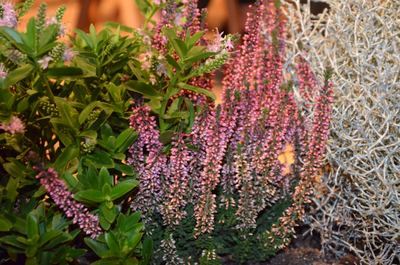 2017-12-02 Herbstkonzert